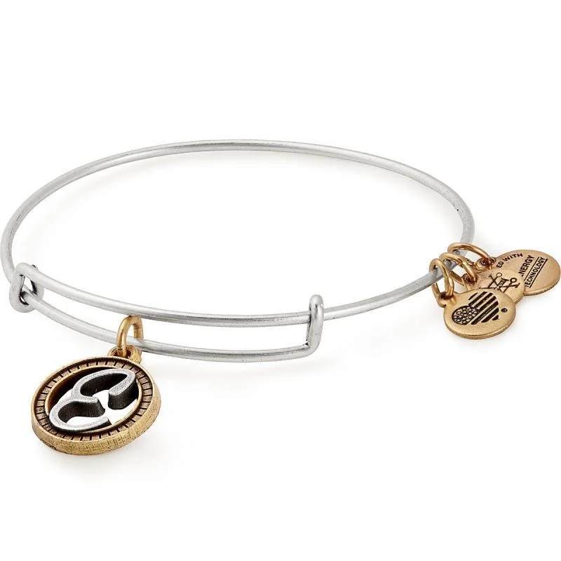 Holiday - Themed Bangles for Christmas or Valentine's Day Alex And Ani Initial E Two Tone Charm Bangle Holiday - Themed Bangles for Christmas or Valentine's Day Alex And Ani Initial E Two Tone Charm Bangle