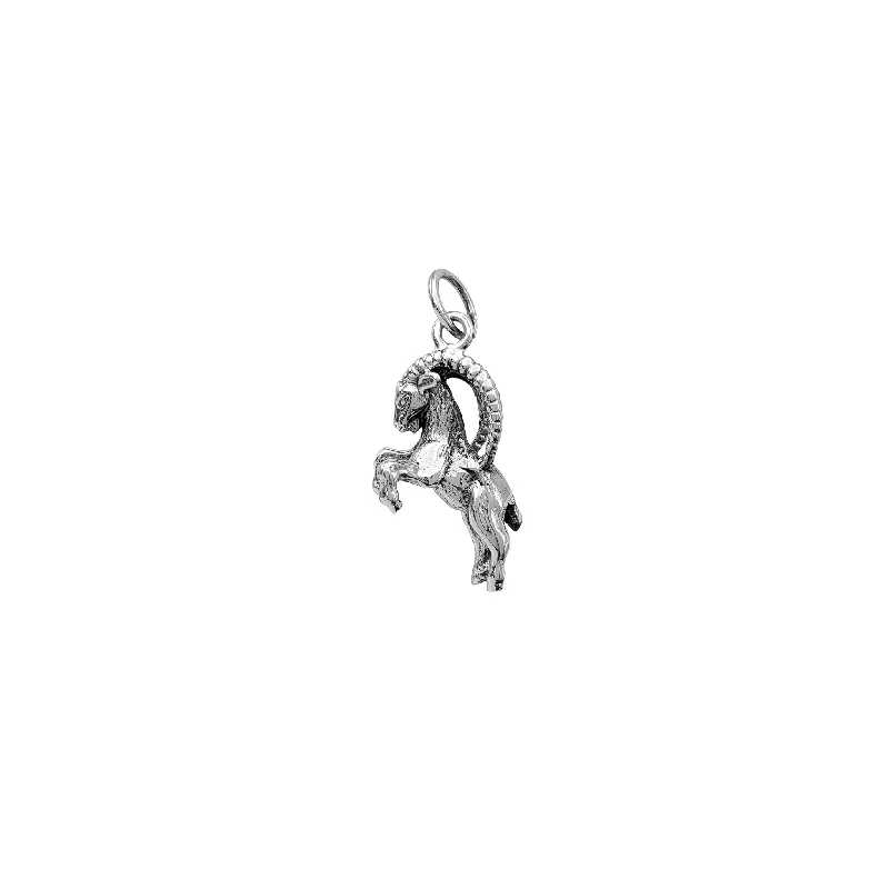 Tassel - Trimmed Amethyst Pendant Necklace for Festival - Goers3-D Antique-Finish Capricorn Pendant (Silver) Tassel - Trimmed Amethyst Pendant Necklace for Festival - Goers3-D Antique-Finish Capricorn Pendant (Silver)