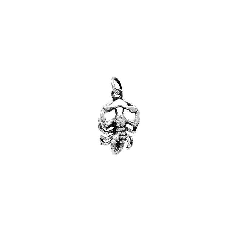 Braided Hemp Rope Necklace with a Seashell Pendant for Summer Beachgoers3-D Antique-Finish Scorpion Pendant (Silver) Braided Hemp Rope Necklace with a Seashell Pendant for Summer Beachgoers3-D Antique-Finish Scorpion Pendant (Silver)
